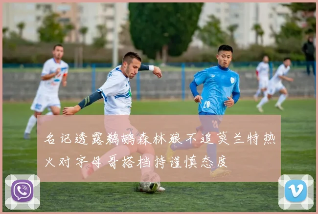 名记透露鹈鹕森林狼不追莫兰特热火对字母哥搭档持谨慎态度