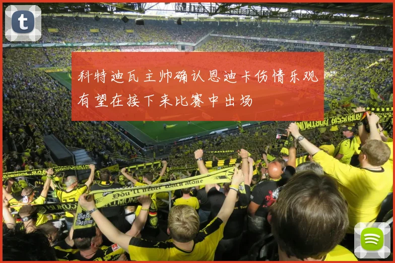 科特迪瓦主帅确认恩迪卡伤情乐观有望在接下来比赛中出场
